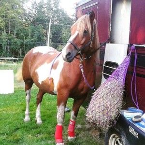 Meet your Posher, Michelle